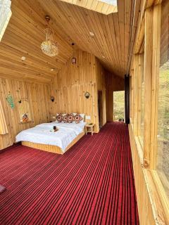 Cedarhaven cottage jibhi - 4