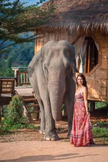 Lazy mango homestay - 3