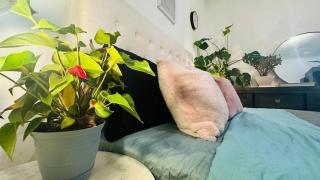 Melbourne rustic beach house 2km CBD - 2