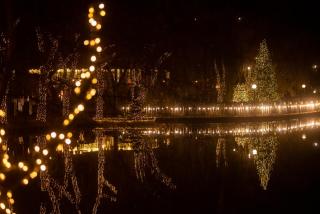 Lopota Lake Resort & Spa - 7