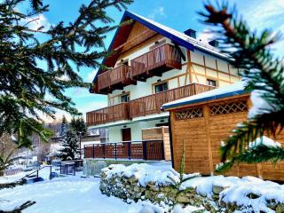 nowe Apartamenty górskie krajobrazy z widokiem na Śnieżnik - Willa Sowia - 0