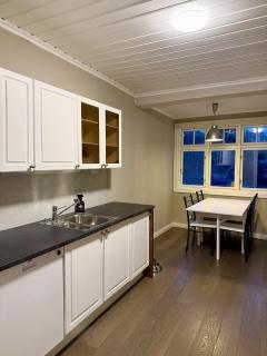 Downtown 3-bedroom apartment - 4