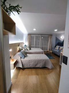 Studio Premium con Vista al Lago y Centro Cívico - 3