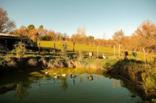 Homnest - Clairiere des Animaux - 1h de Toulouse - 3