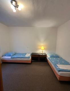 Gasthaus und Pension Zur Libelle - 1