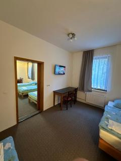 Gasthaus und Pension Zur Libelle - 2