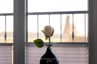 ST - Fördeblick - 8