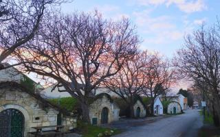 Apartments Kellergasse - 0