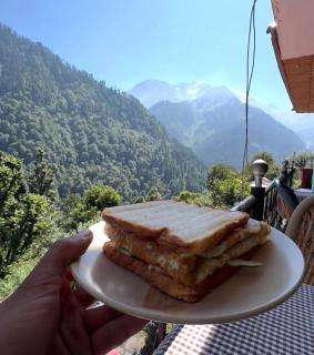 Yamuna Guest House Tosh - 9