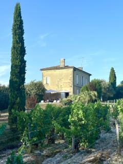 Maison Girondine au milieu des vignes du Château d Yquem avec belle vue - Preignac - 1