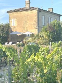 Maison Girondine au milieu des vignes du Château d Yquem avec belle vue - Preignac - 4