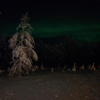 Poromoision pirtti - 9