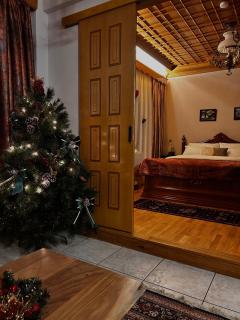 MetsoVillas στο κέντρο του Μετσόβου - 8