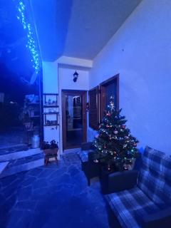 La Cinciallegra - Locazione Turistica - 9