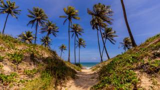 Casa com Jacuzzi, Piscina e Garagem em Jacuipe - 6