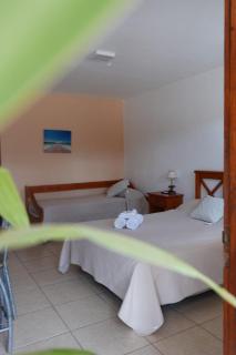 Aparthotel Agave - 3