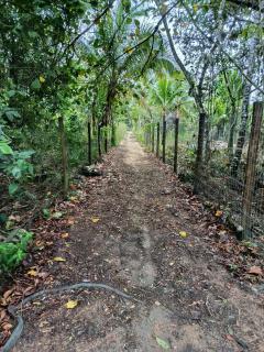 Casinha Verde- Hospedagem Itaobi - Arraial d Ajuda - Pedra Azul-Estrada da Pitinga - 0