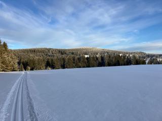 Lesní Premium Family Apartment - 3