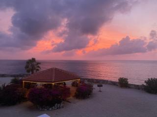 Sandy Bottoms 10b - 0