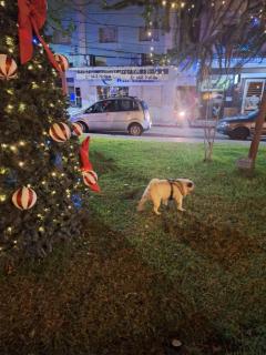 Apartamento Gracioso ao lado do Parque das Águas - 9