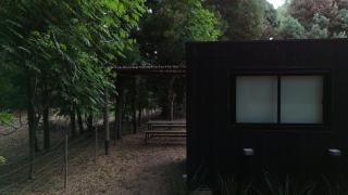 Cabañas en medio del bosque - 3