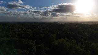 Cabañas en medio del bosque - 5