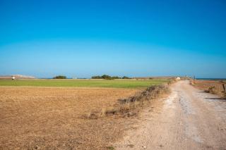 Antico Casolare P. P. - 6