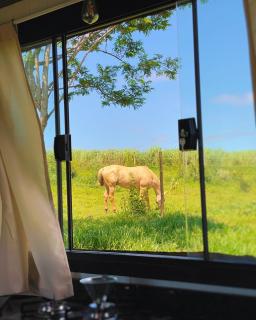 Chalé Western com Projetor e Banheira Externa - 3