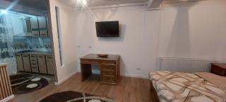 Teona Apartment Targu Neamt - 1