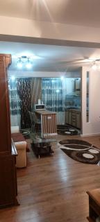 Teona Apartment Targu Neamt - 2