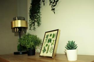 Le Botanique - 15 min Paris et Stade de France - 50m2 - 2 chambres - 6