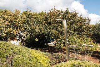 HelloAPULIA - Trulli Villa Domenico - 2