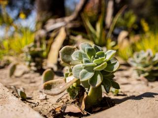 Sian-simba-river-lodge - 9