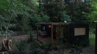 Cabañas en medio del bosque - 6