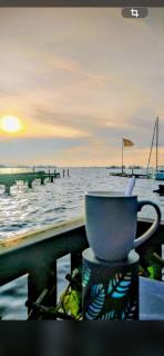 Woonboot De Witte loosdrechtse plassen - 7