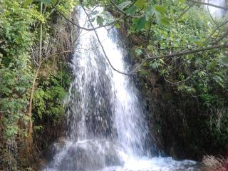 Casa La Cascada - El Bosque - 0