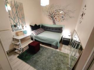 Artsy entire House, fully equipped, 2 rooms, 2 beds, parking, all to yourself! - 4