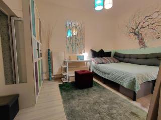 Artsy entire House, fully equipped, 2 rooms, 2 beds, parking, all to yourself! - 5