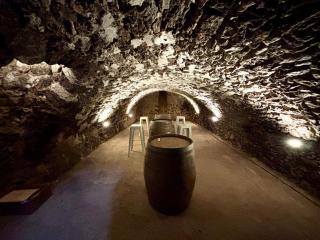 Domaine de Tincourt, Authentic Champagne house - 6