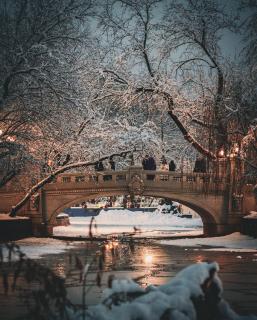 Downtown Vintage Chic Apartment - 2