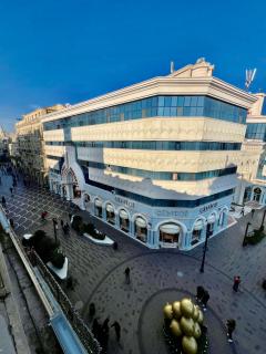 Lux Loft-Apartment with Large Terrace on Nizami str - 7