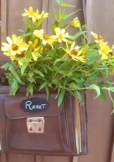 Reset perché no - 7