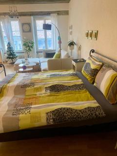 Joline private guest apartment home - 8