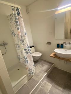 Joline private guest apartment home - 1