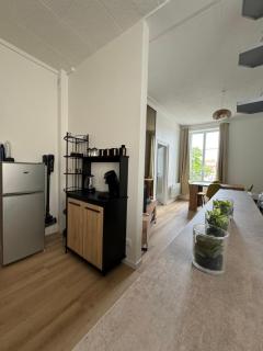 Superbe appartement Nancy Thermal - 5