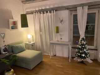 Joline private guest apartment home - 5