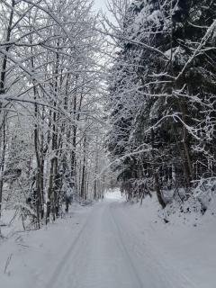 Apartment Bobinac - 3