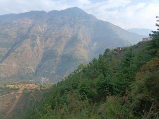 Himalayan farm stay - 9