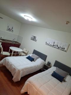 Apartahotel portal de leon - 9