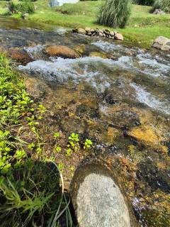 Cabañas La Carlota - 3